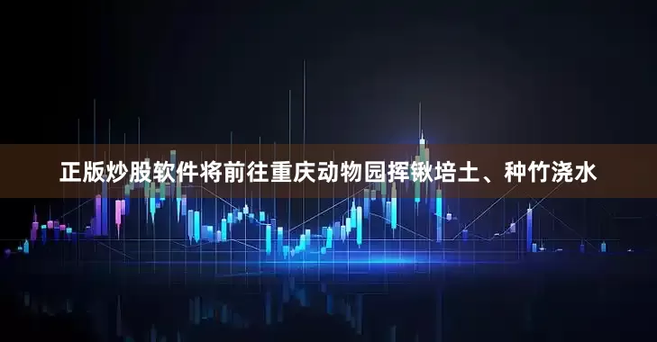 正版炒股软件将前往重庆动物园挥锹培土、种竹浇水