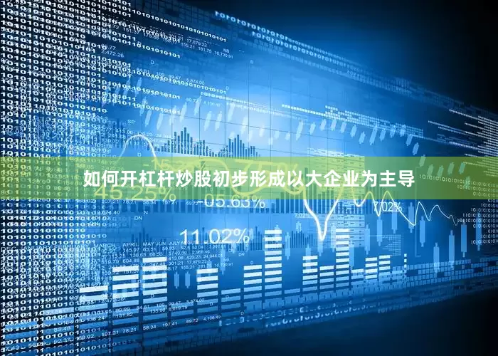 如何开杠杆炒股初步形成以大企业为主导